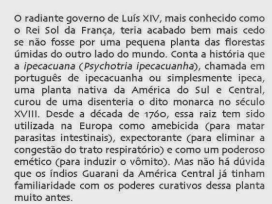 A Quantidade Certa: Medidas Seguras para Bebês - inspiração 1