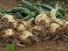 A Infusão Perfeita: O Segredo do Preparo - inspiração 2