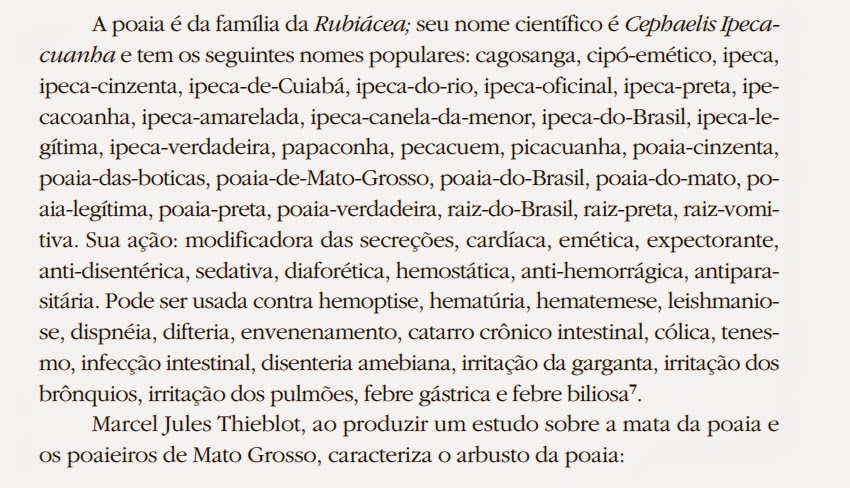 Sinais de Alívio: Observe a Reação do Seu Bebê - inspiração 1