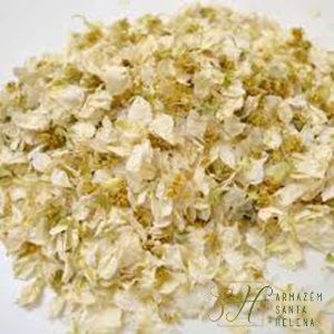 A Proporção Certa: A Chave para um Sabor Equilibrado - inspiração 1