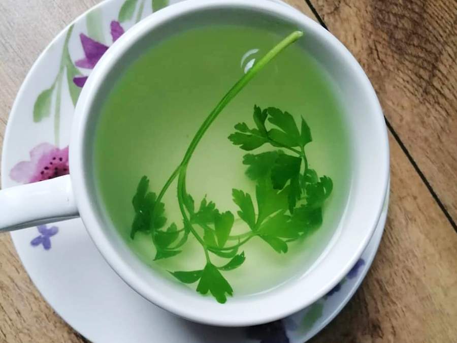 Integração na Rotina: Como Tornar o Chá de Salsinha um Hábito Saudável - inspiração 1