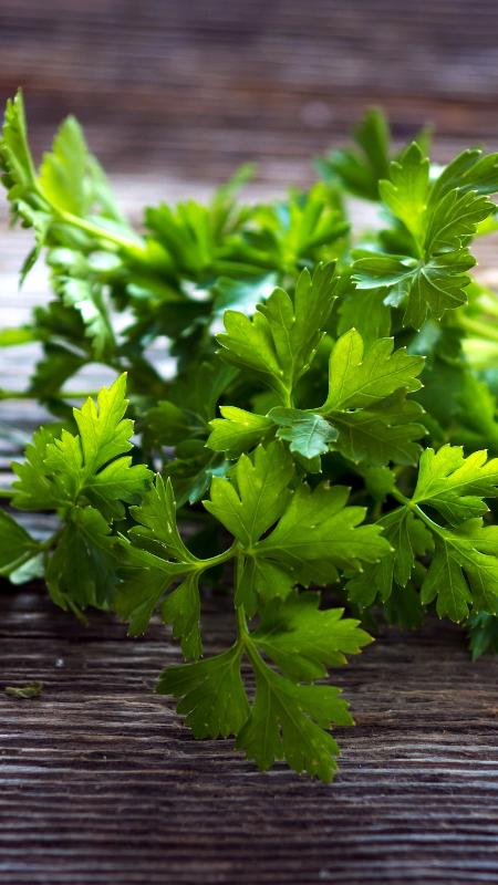 Desmistificando Mitos: O Que Realmente Funciona e o Que Não - inspiração 1