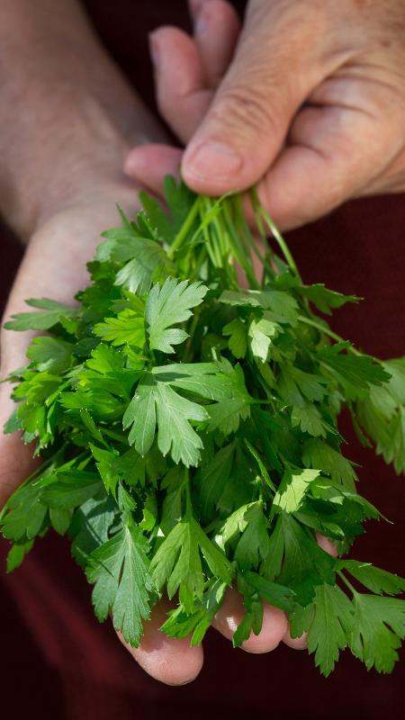 Sabor e Prazer: Deixando Seu Chá Ainda Mais Gostoso - inspiração 2