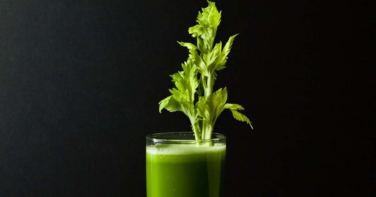 Erros Comuns ao Fazer Chá de Salsão e Como Evitá-los - inspiração 1