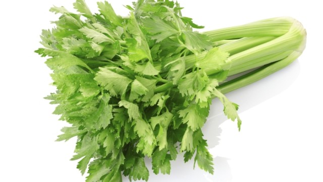 A Proporção Certa: Quantidade de Salsão e Água - inspiração 2