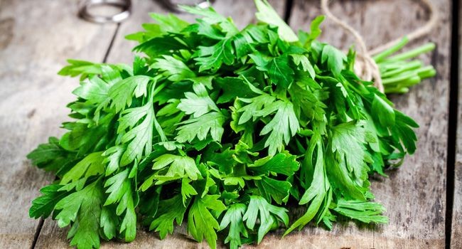 Adições Saudáveis: O que Combinar com Seu Chá de Salsão? - inspiração 2