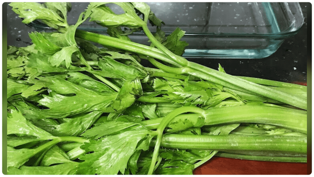 Quando Beber Seu Chá de Salsão: Rotina Ideal - inspiração 2