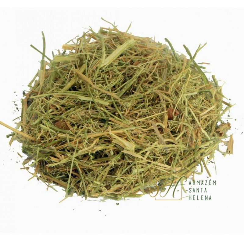 Como Consumir Seu Chá: Melhores Horários e Quantidades - inspiração 1