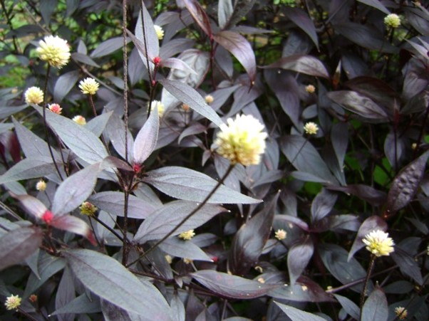 Quando Procurar Ajuda Profissional: Sinais de Alerta - inspiração 1