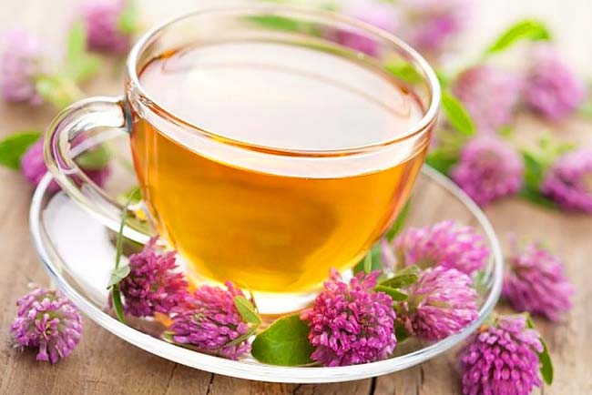 Aromatizando seu Chá: Toques Sutis para Potencializar - inspiração 1