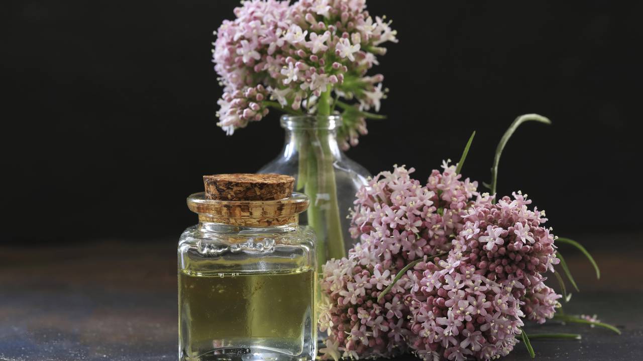 Frequência de Uso: Usando com Sabedoria - inspiração 2