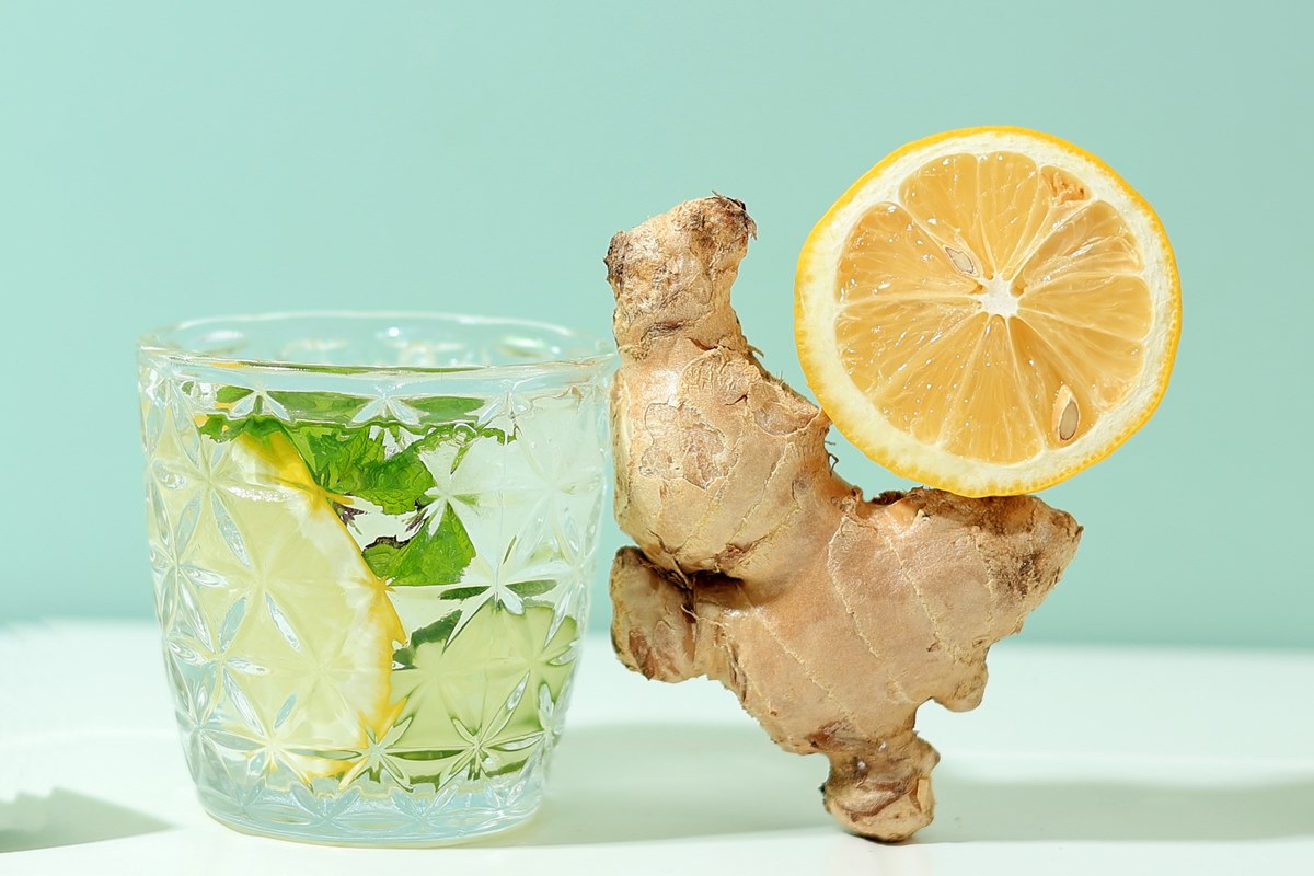 Eucalipto: Vapor Que Abre o Peito e Facilita a Respiração - inspiração 2