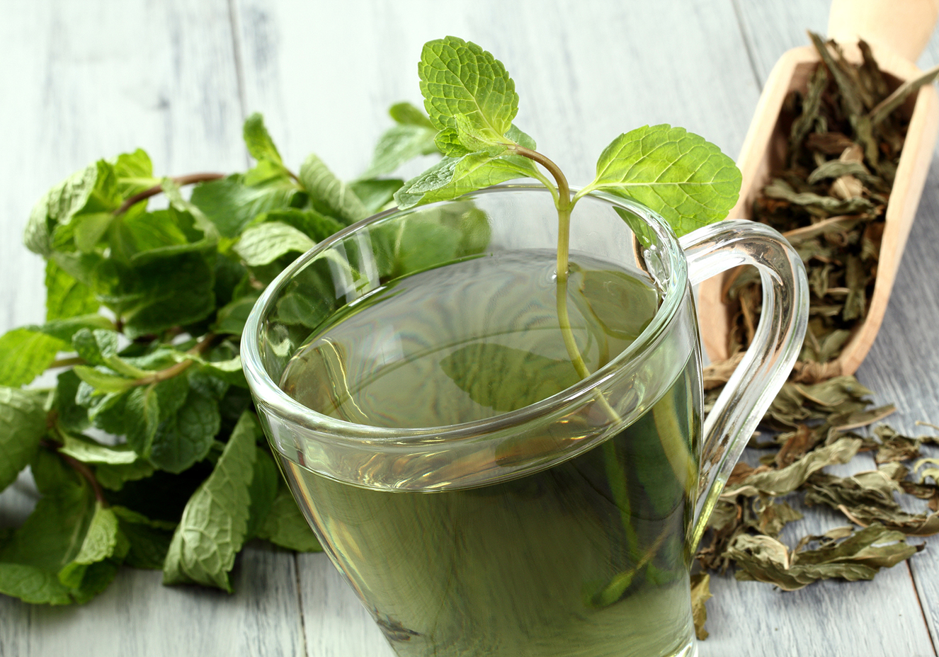 Chá de Dente-de-Leão: Limpeza Interna e Leveza para Você - inspiração 2