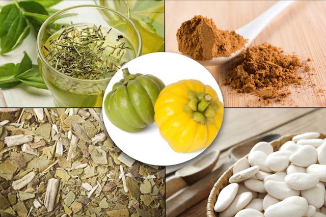 Chá de Hortelã: Alivia o Inchaço e Ajuda na Digestão - inspiração 1