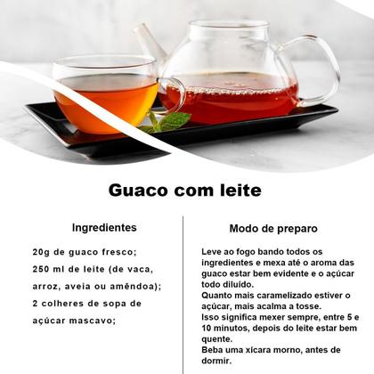 Benefícios Adicionais: Pele e Bem-Estar Geral - inspiração 1