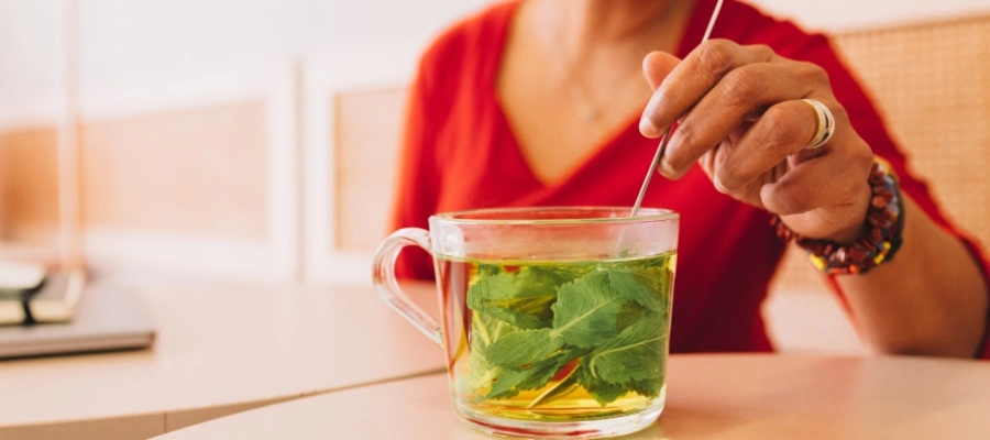 Gengibre: O Guerreiro Anti-inflamatório Natural - inspiração 2