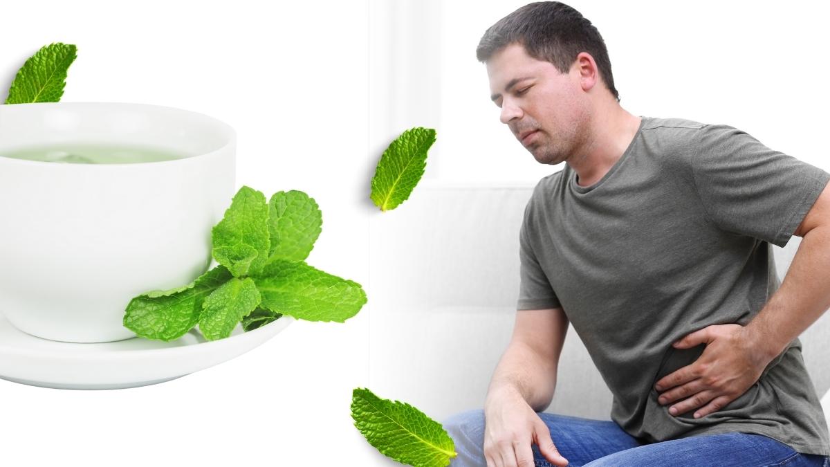 Gengibre: O Termogênico Contra o Desconforto - inspiração 2