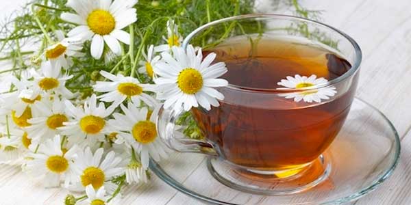 Gengibre: Raiz que Combate a Inflamação e o Inchaço - inspiração 1