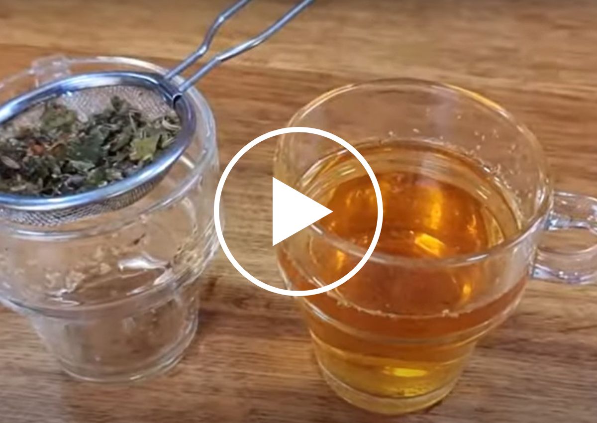 Manjericão: Frescor Aromático com Benefícios Digestivos - inspiração 1