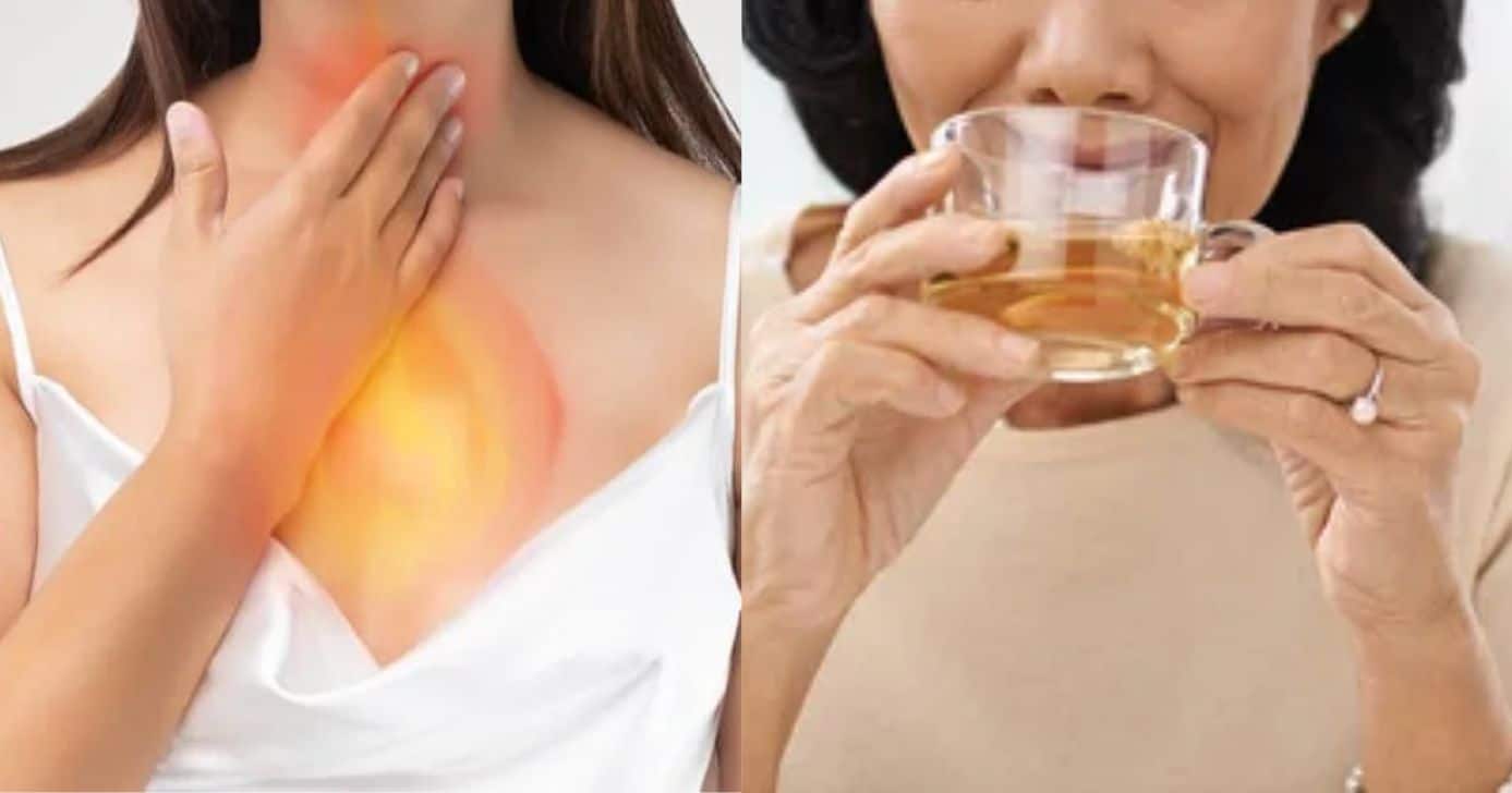 Sálvia: Propriedades Anti-inflamatórias Delicadas - inspiração 1