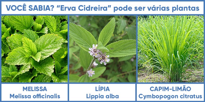 Melhora do Sono: Durma Bem e Acorde Renovada - inspiração 2