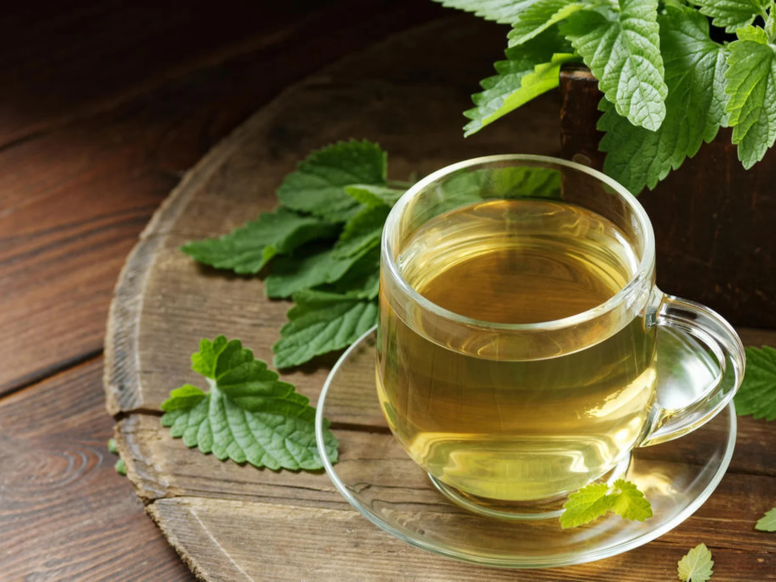 Ação Antioxidante: Protegendo Seu Corpo Contra Danos - inspiração 2