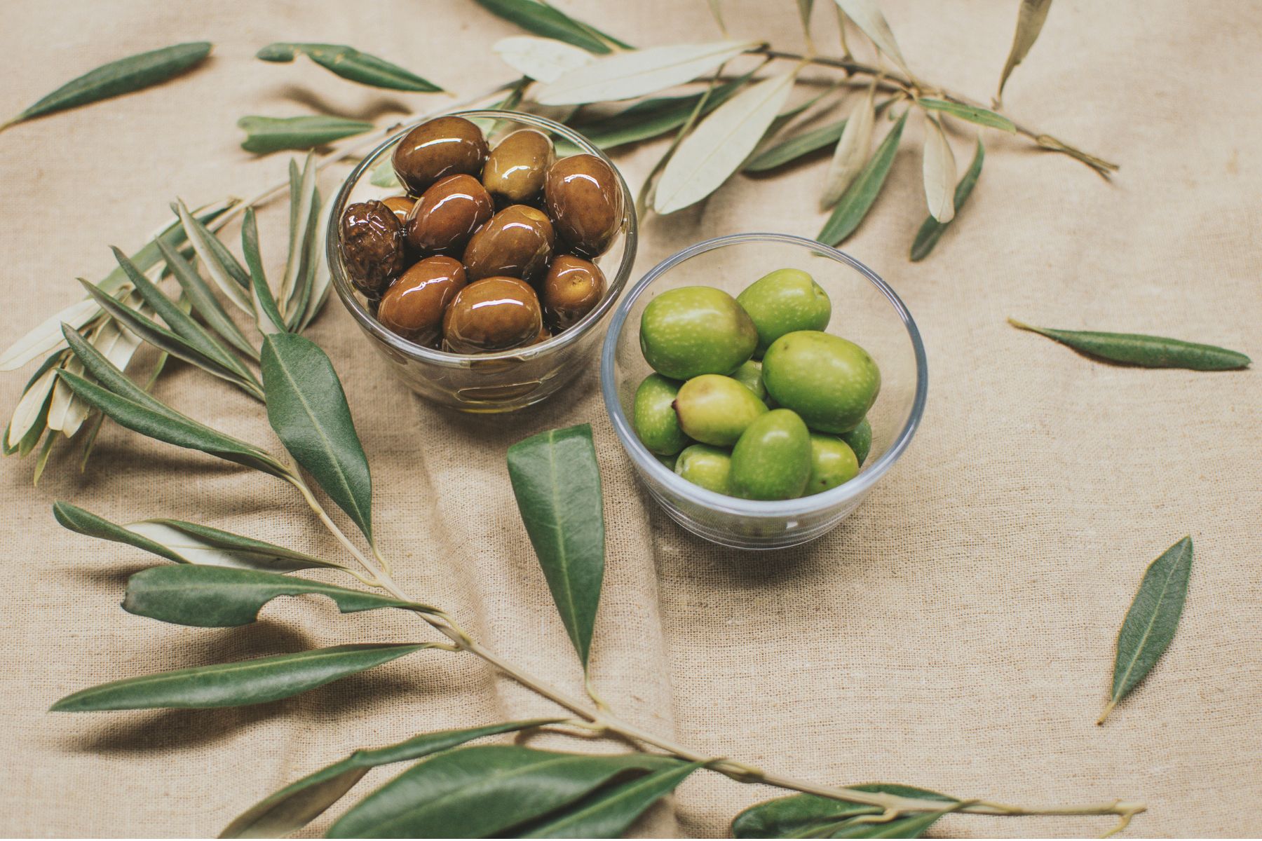 Alívio para a Digestão: Como o Chá de Oliveira Age no Seu Sistema Digestivo - inspiração 2