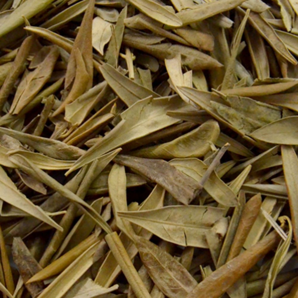 Imunidade Reforçada: Proteção Natural Contra Ameaças do Dia a Dia - inspiração 1