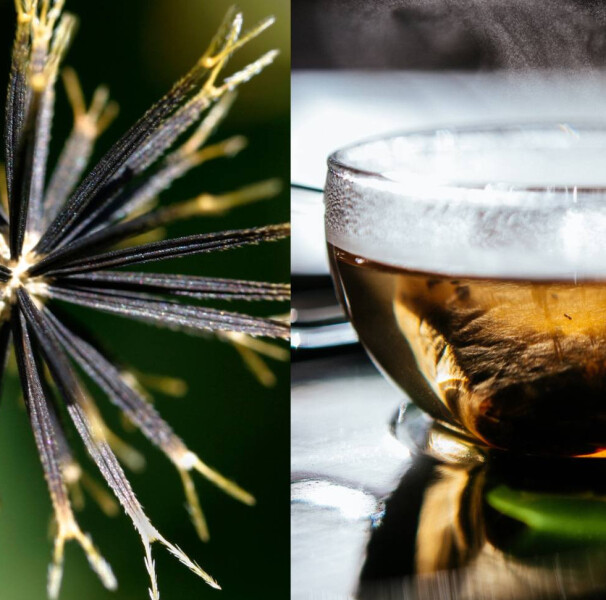 Potencial Diurético e Desintoxicante - inspiração 2