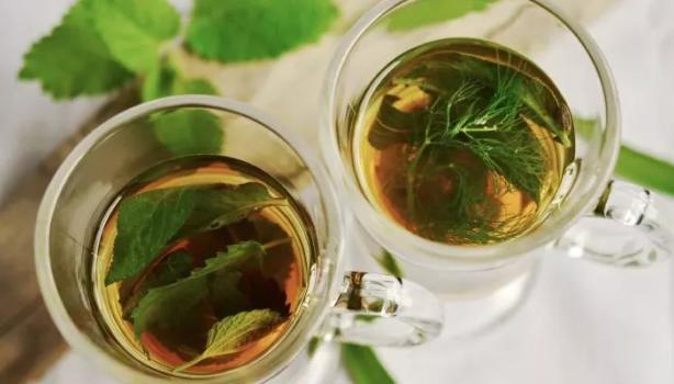 Consultando um Profissional: A Melhor Orientação para Você - inspiração 1