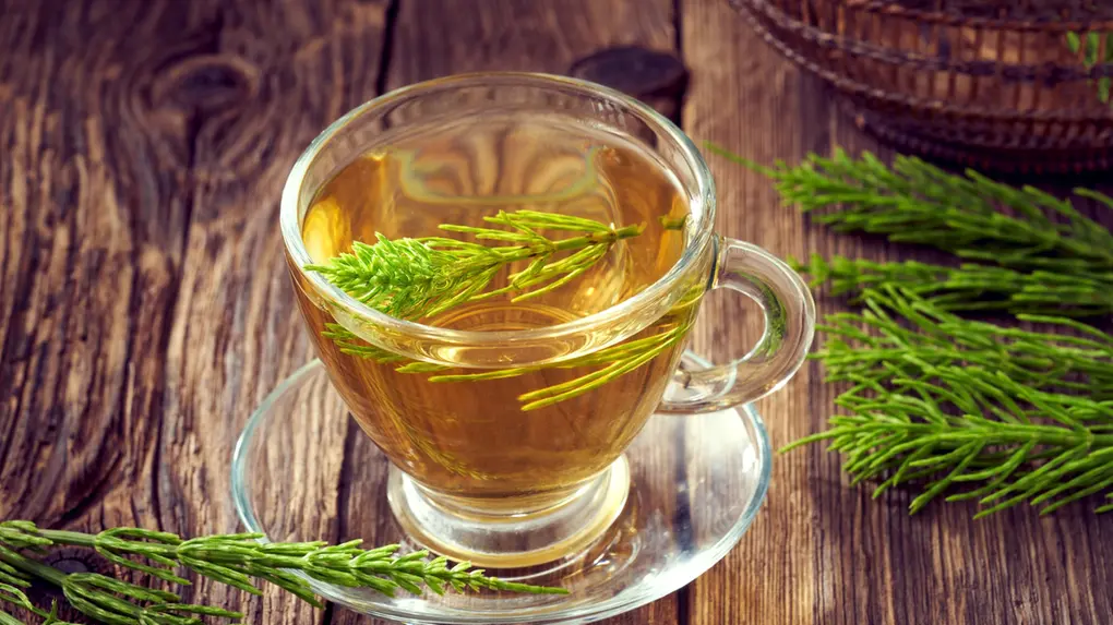 Ciclos de Uso: A Importância de Pausas Estratégicas - inspiração 2