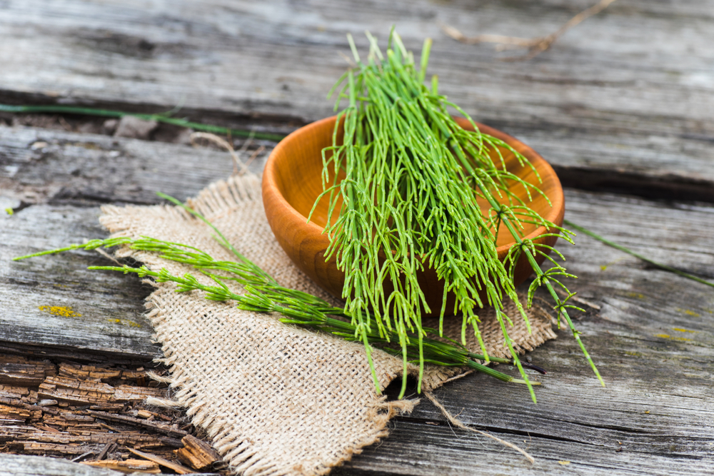 Possíveis Efeitos Colaterais e Interações com Medicamentos - inspiração 1