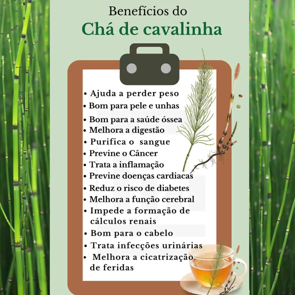 Cavalinha e Gestação/Lactação: Um Cuidado Especial - inspiração 2