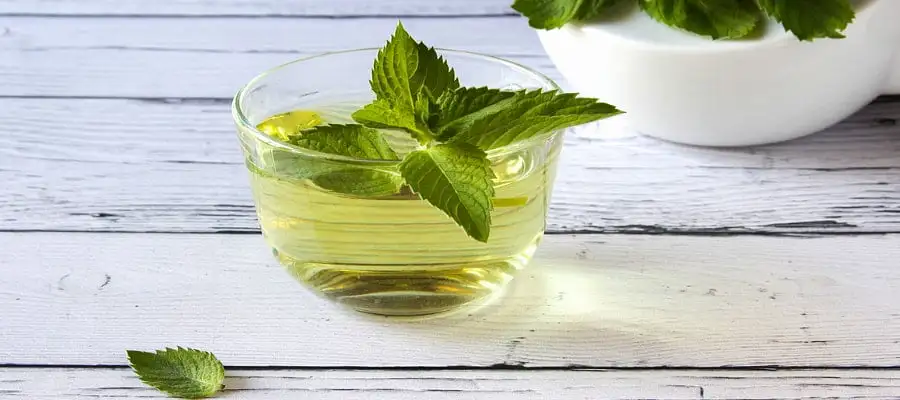 Reforço na Sua Saúde Bucal - inspiração 1