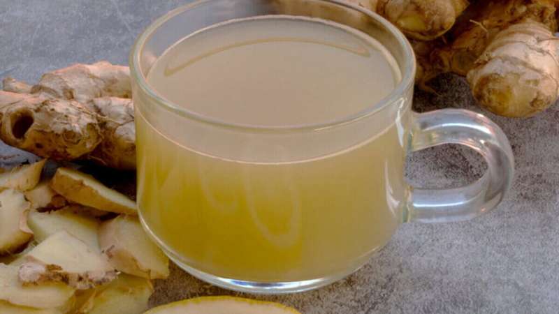 Chá de Hortelã: Refrescância que Auxilia na Digestão e Saciedade - inspiração 1