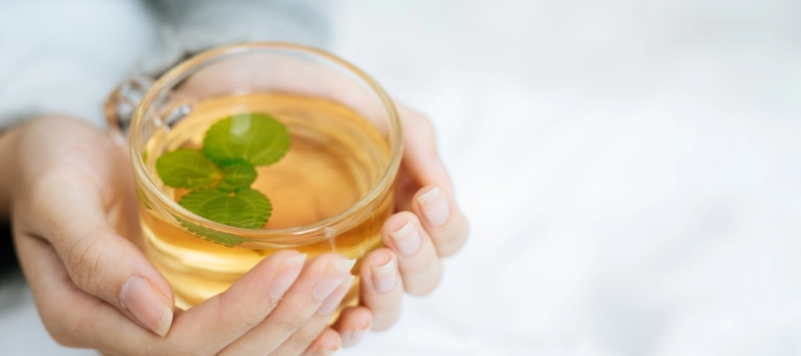 Gengibre: Poderoso Anti-inflamatório e Digestivo - inspiração 2