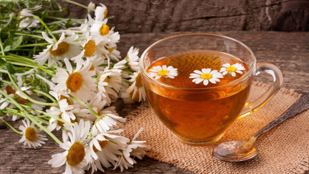 Erva-cidreira: Relaxamento e Paz para o Sistema Digestivo - inspiração 2