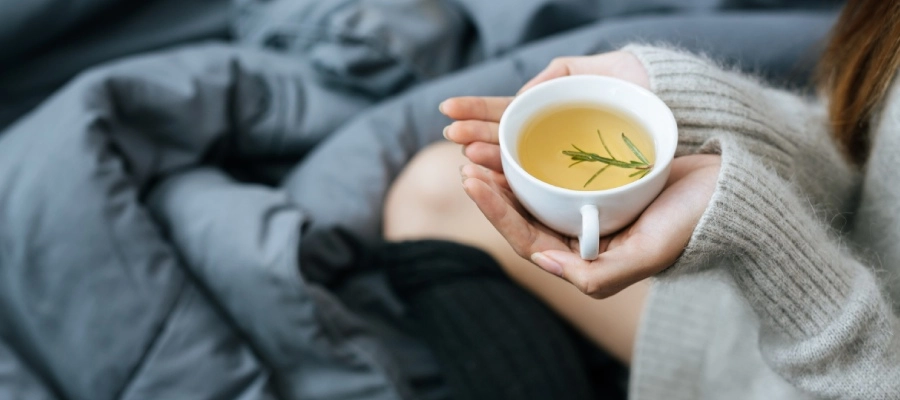 Lavanda: Um Aroma que Acalma e Adormece - inspiração 2