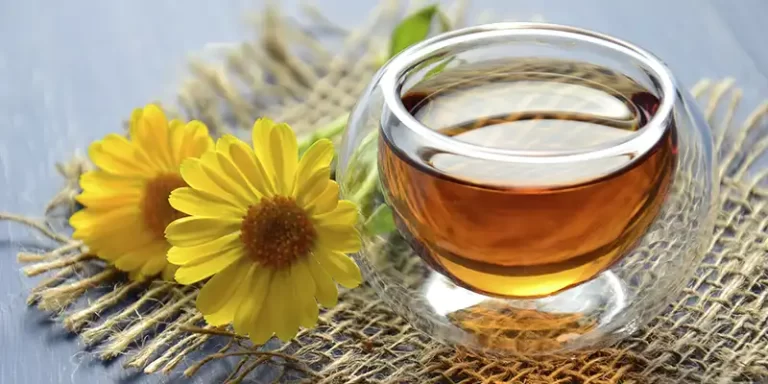 Capim-limão: Frescor que Prepara o Corpo para o Descanso - inspiração 2