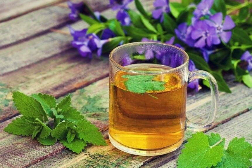 Chá de Hortelã: Frescor e Alívio para o Seu Sistema Digestivo - inspiração 1