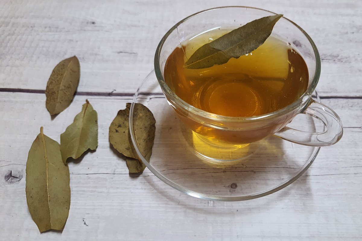 Chá de Cardo Mariano: Proteção hepática e o combate à oxidação - inspiração 1