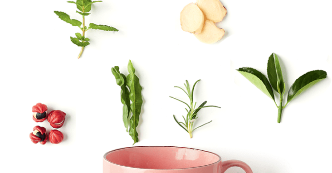 Infusão de Casca de Laranja Amarga: Sabedoria Natural - inspiração 1