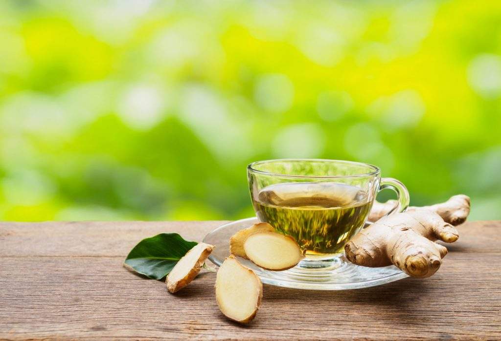 Chá de Alecrim: Estímulo à Digestão e Menos Gases - inspiração 2