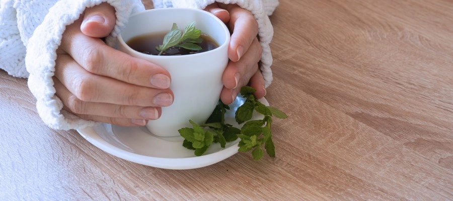 Preparando o Chá Perfeito: Dicas de Infusão - inspiração 1