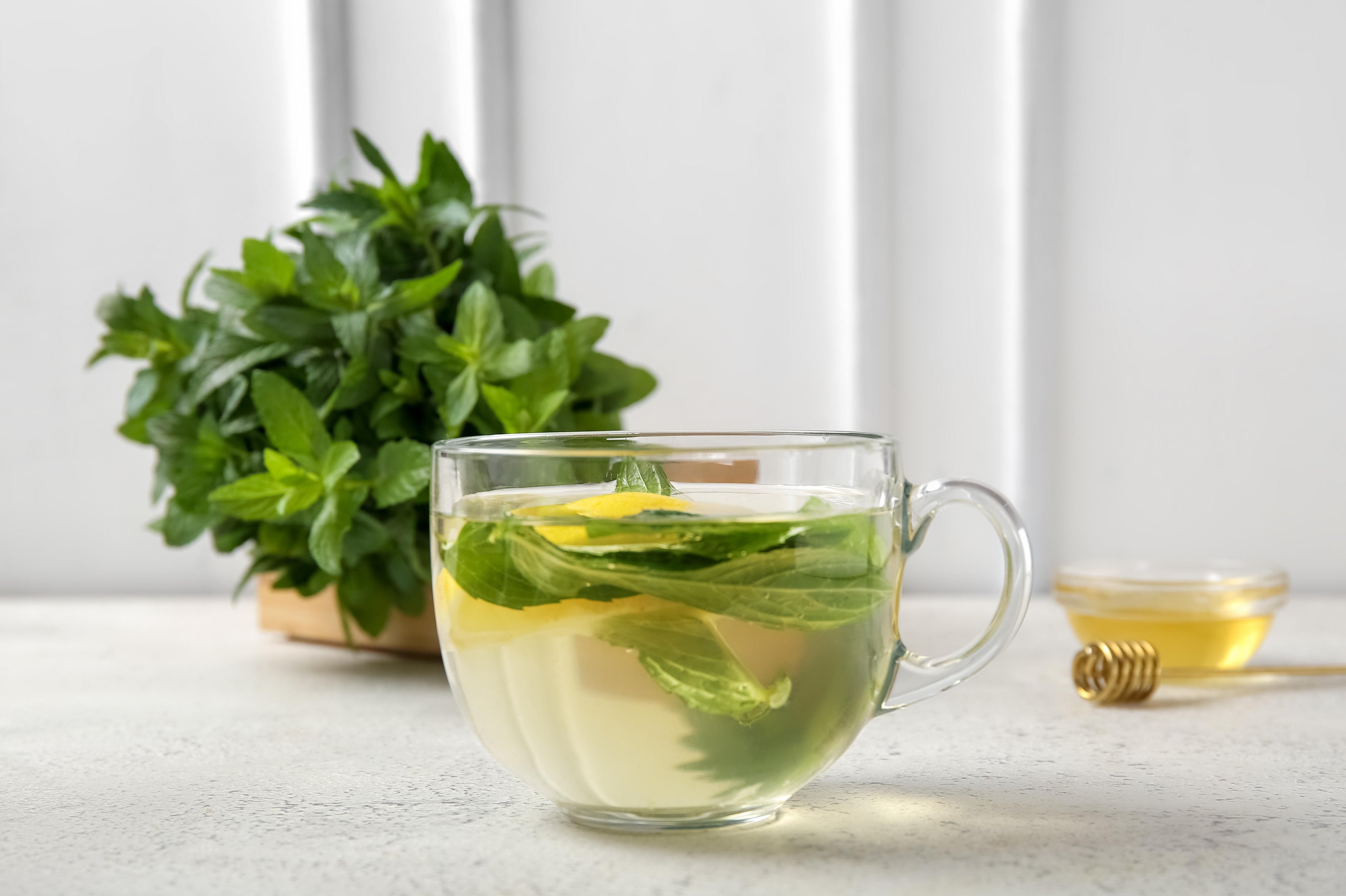 Chá de Alcachofra: Aliado Digestivo e Depurativo - inspiração 2