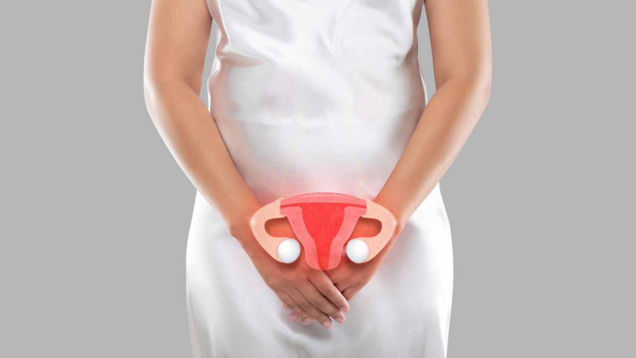 Chá de Calêndula: Cuidado Delicado Para Sua Saúde - inspiração 2