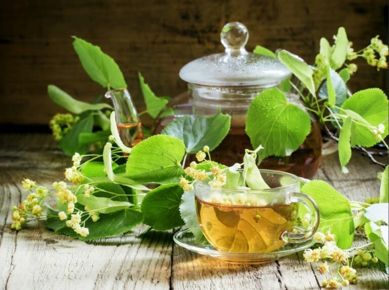 Erva-cidreira: Calma e Suavidade Para o Ritmo Cardíaco - inspiração 2