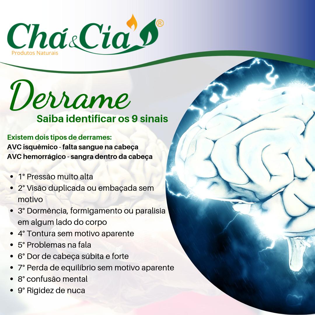 Chá Verde: Antioxidantes que Protegem suas Células - inspiração 2