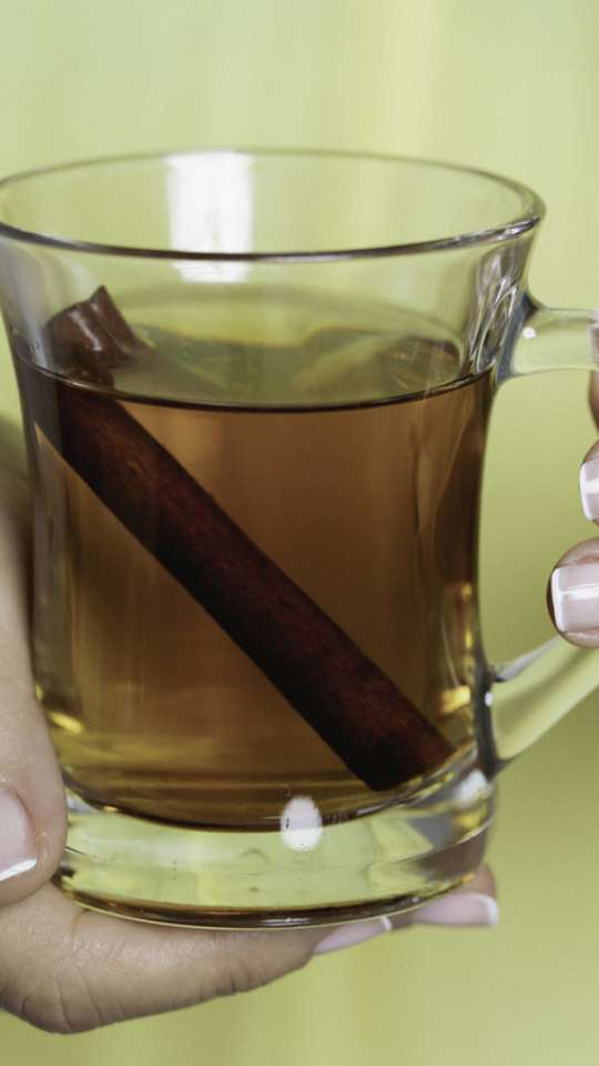 Chá de Canela: Controle Glicêmico e Bem-Estar Geral - inspiração 1