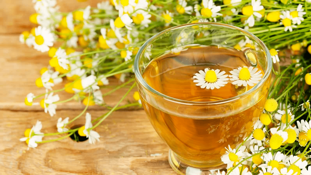 Camomila: O Clássico da Calma - inspiração 2